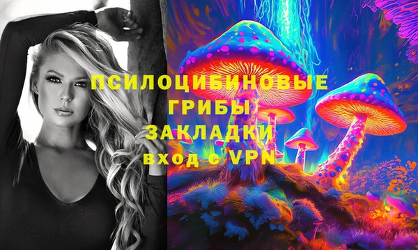 амф Алексин